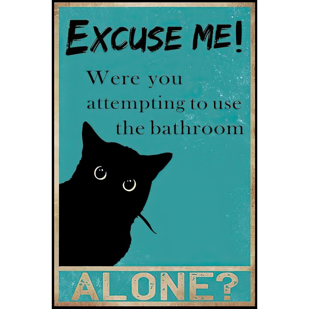 Tin Sign Funny Black Cat Bathr - Home Alone Bathroom ulasan dan harga